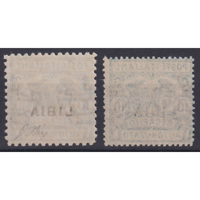 COLONIE LIBIA 1929 RECAPITI AUTORIZZATI N.1-2 G.I MNH**  | Filateli...