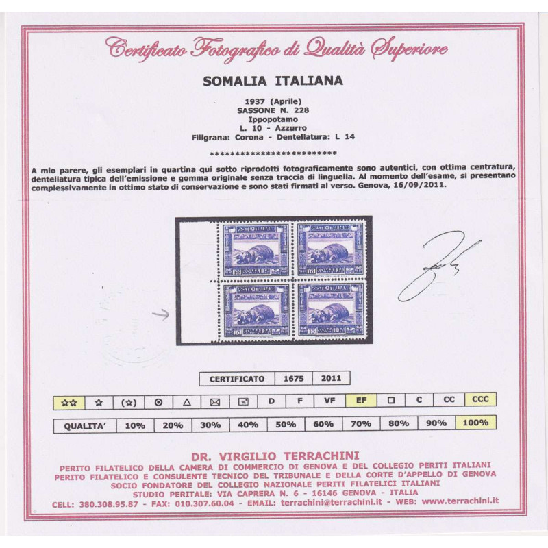 COLONIE SOMALIA 1935-38 PITTORICA 10 LIRE N.228 G.I MNH** CERT.BORD...