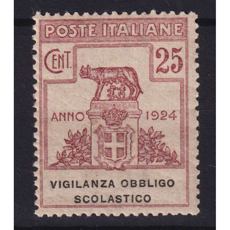 REGNO 1924 ENTI PARASTATALI VIGILANZA OBBLIGO SCOLASTICO G.I MNH** ...