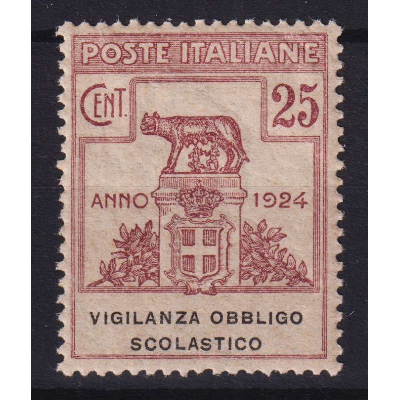 REGNO 1924 ENTI PARASTATALI VIGILANZA OBBLIGO SCOLASTICO G.I MNH** ...