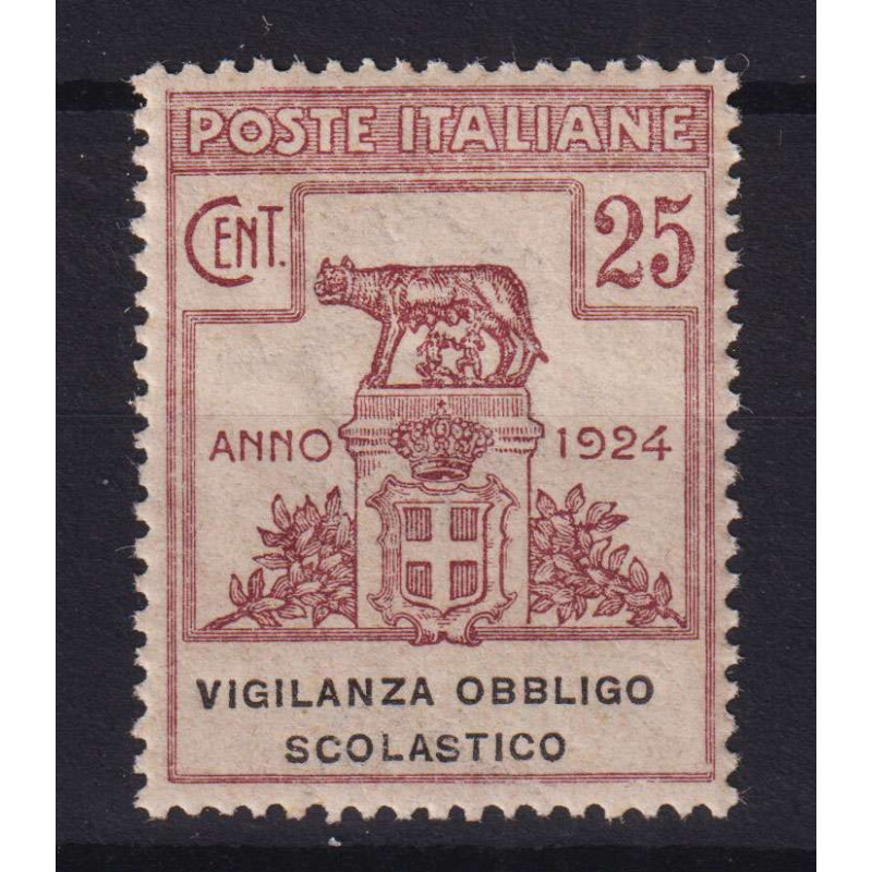 REGNO 1924 ENTI PARASTATALI VIGILANZA OBBLIGO SCOLASTICO G.I MNH** ...