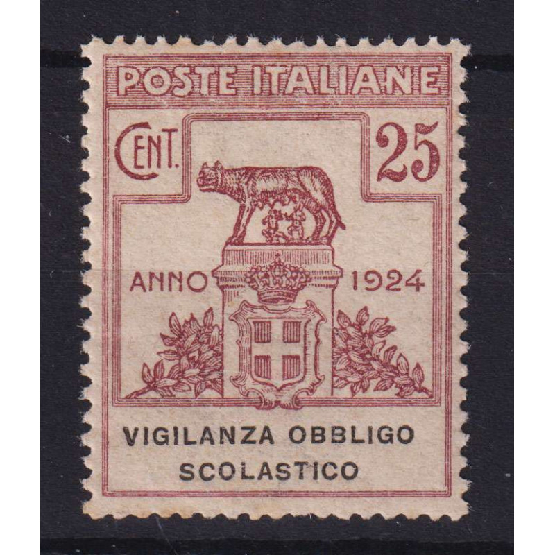 REGNO 1924 ENTI PARASTATALI VIGILANZA OBBLIGO SCOLASTICO G.I MNH** ...