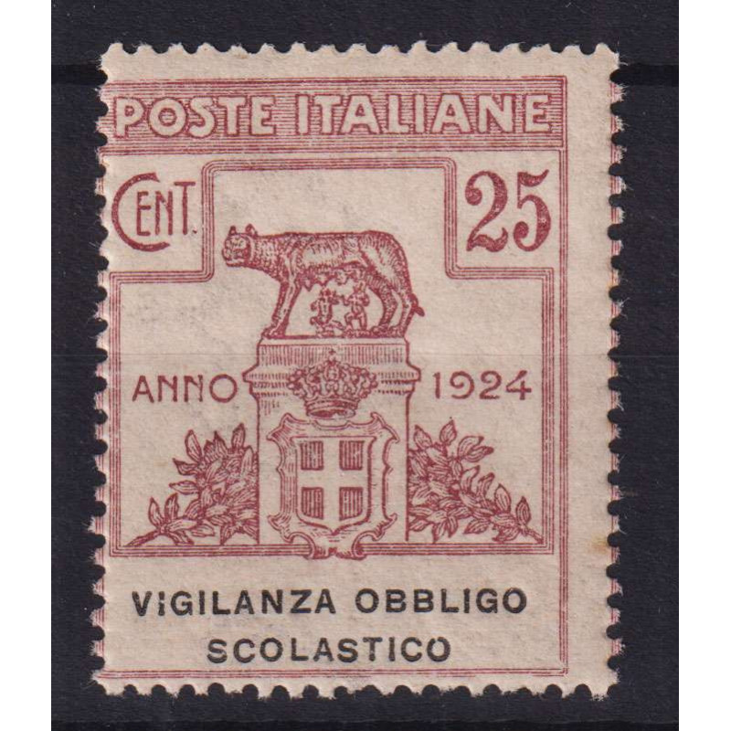 REGNO 1924 ENTI PARASTATALI VIGILANZA OBBLIGO SCOLASTICO G.I MNH** ...