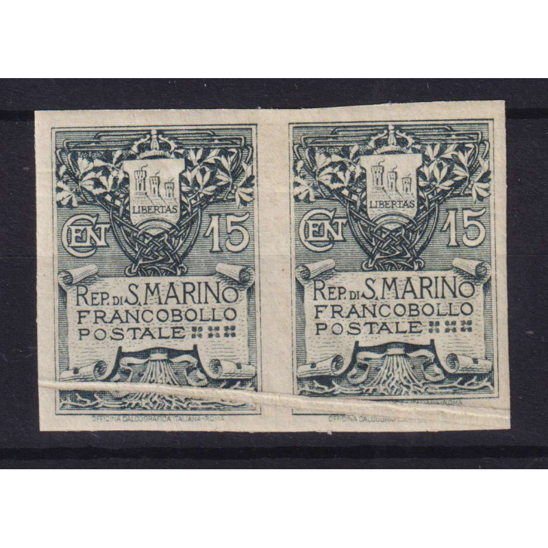 SAN MARINO 1907 STEMMA COPPIA MULTI VARIETA' G.O MH*  | Filatelia M...