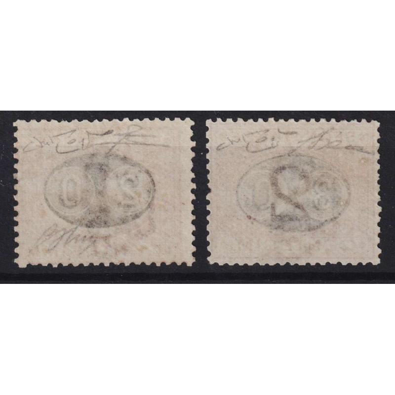 REGNO 1890-91 SEGNATASSE MASCHERINE 2 V. N.18-19 G.I MNH** CERT.  |...